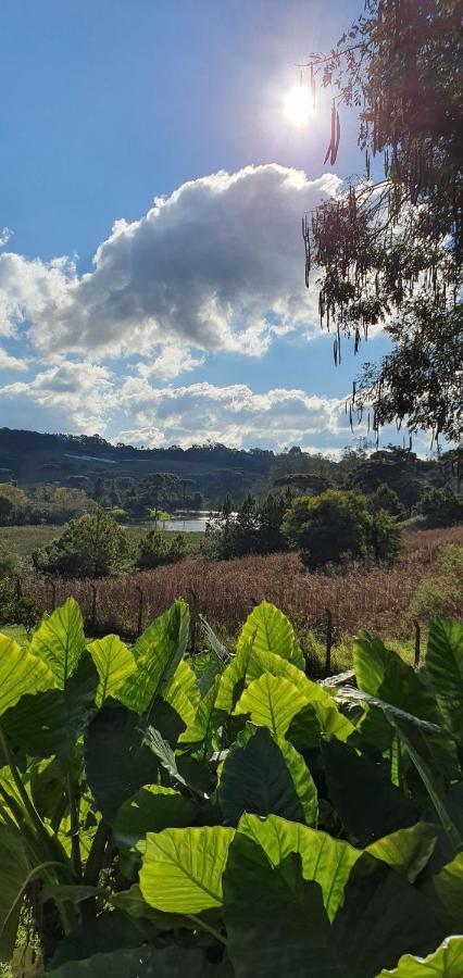 Loft No Campo Proximo Ao Vale Dos Vinhedos Villa Garibaldi Bagian luar foto